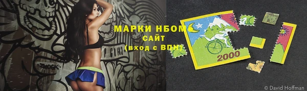 трава Аркадак
