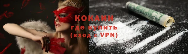 трава Аркадак
