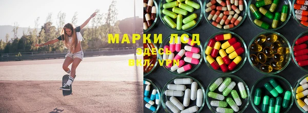 трава Аркадак