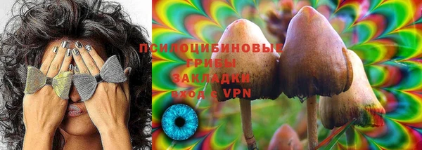 трава Аркадак