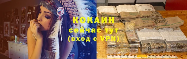 трава Аркадак