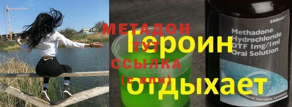 трава Аркадак