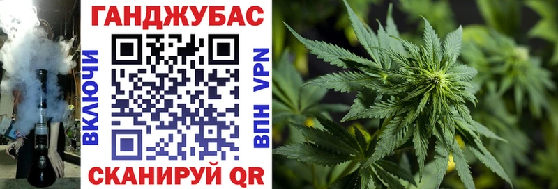 Бошки Шишки семена Сурск